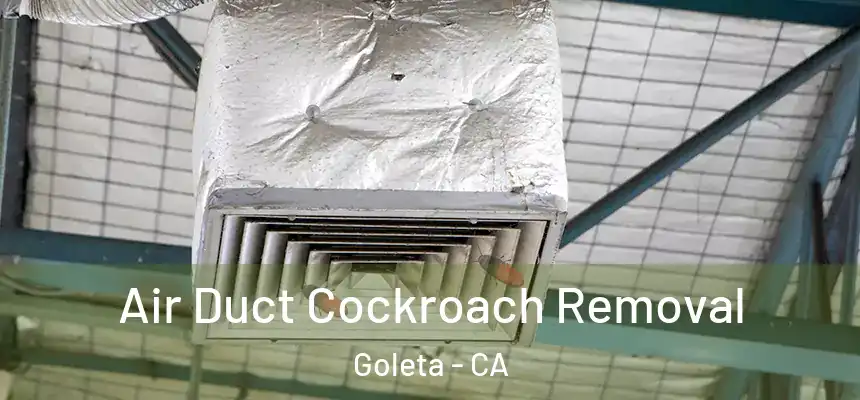 Air Duct Cockroach Removal Goleta - CA
