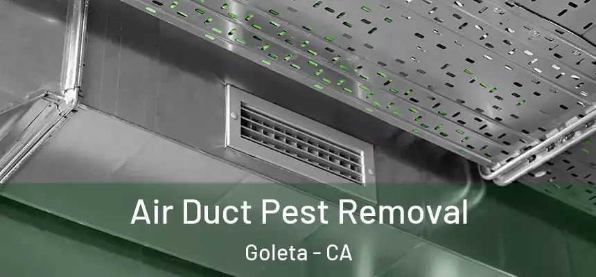  Air Duct Pest Removal Goleta - CA