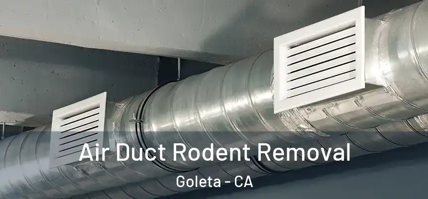  Air Duct Rodent Removal Goleta - CA