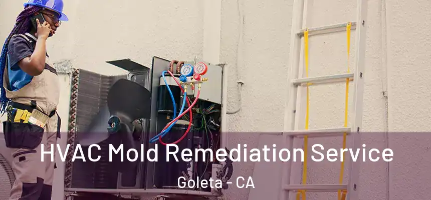 HVAC Mold Remediation Service Goleta - CA