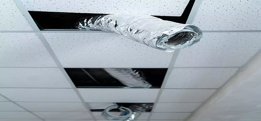 Our Air Duct Pet Hair Removal Services in Goleta, CA