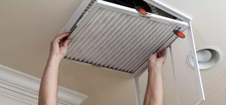 Our Insect Removal from Air Ducts Services in Goleta, CA