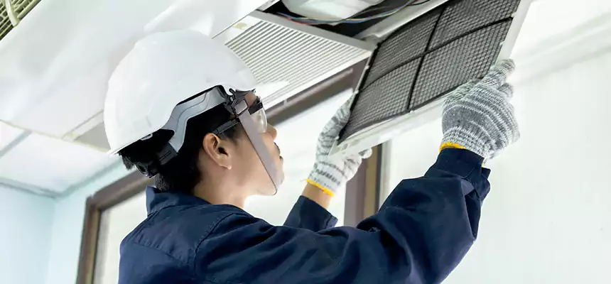 Our Mold & Mildew Removal from Air Ducts Services in Goleta, CA