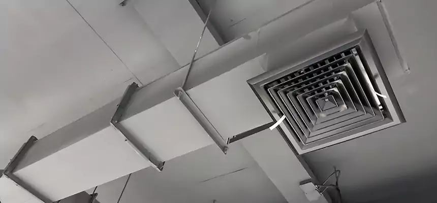 Our Rodent Droppings In Vents Services in Goleta, CA