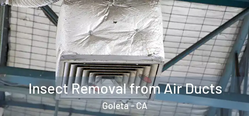 Insect Removal from Air Ducts Goleta - CA