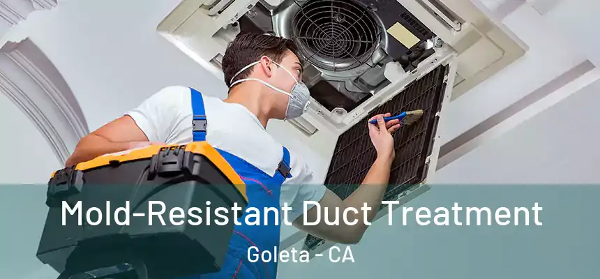 Mold-Resistant Duct Treatment Goleta - CA