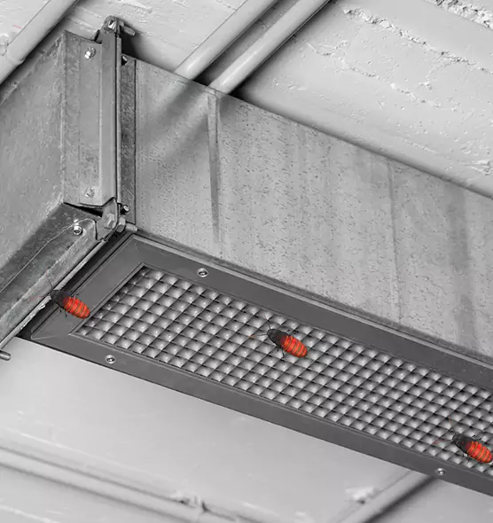 About Air Duct Cockroach Removal in Goleta, CA