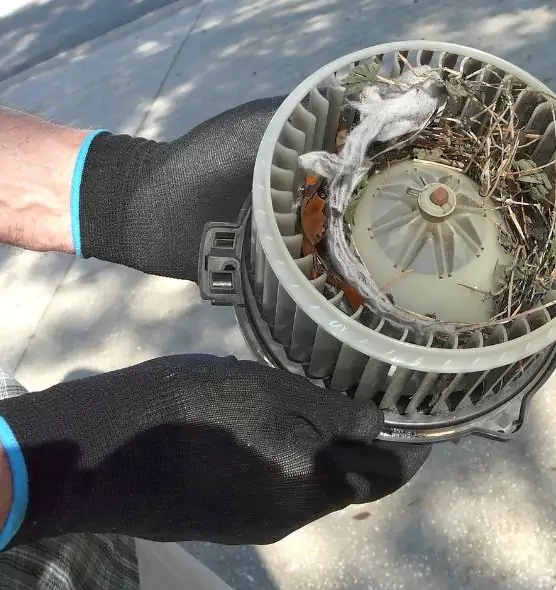 About Air Duct Mice Removal in Goleta, CA