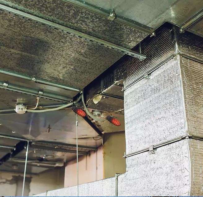 Why Homeowners & Businesses Trust Us in Goleta, CA?