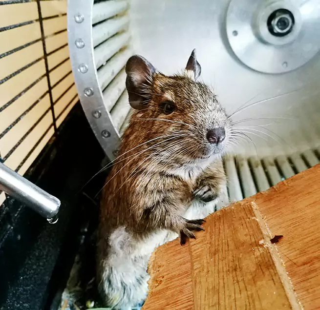 Why Homeowners & Businesses Trust Us Goleta, CA