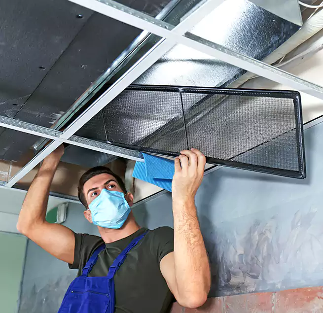 Why Homeowners Businesses Trust Us in Goleta, CA