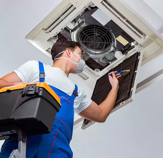 Why Homeowners & Businesses Trust Us in Goleta, CA