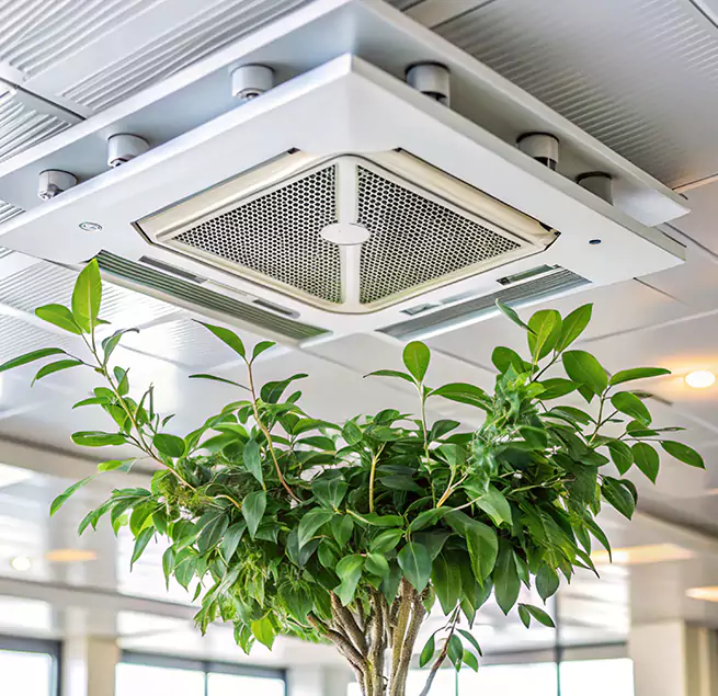 Why Homeowners & Businesses Trust Us in Goleta, CA?